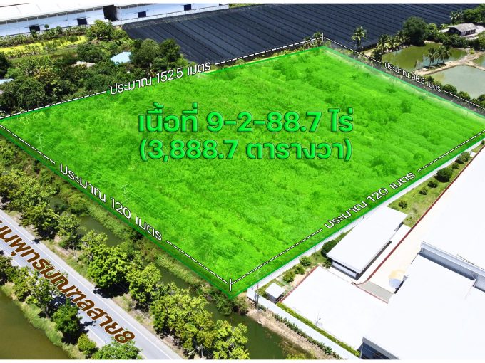 ที่ดินพุทธมณฑลสาย8 นครปฐม