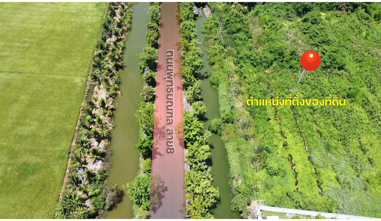 ขายที่ดิน-พุทธมณฑลสาย-8-นครชัยศรี-นครปฐม-002