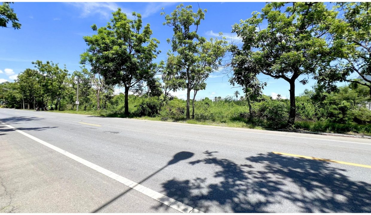 ขายที่ดิน-พุทธมณฑลสาย-8-นครปฐม-009