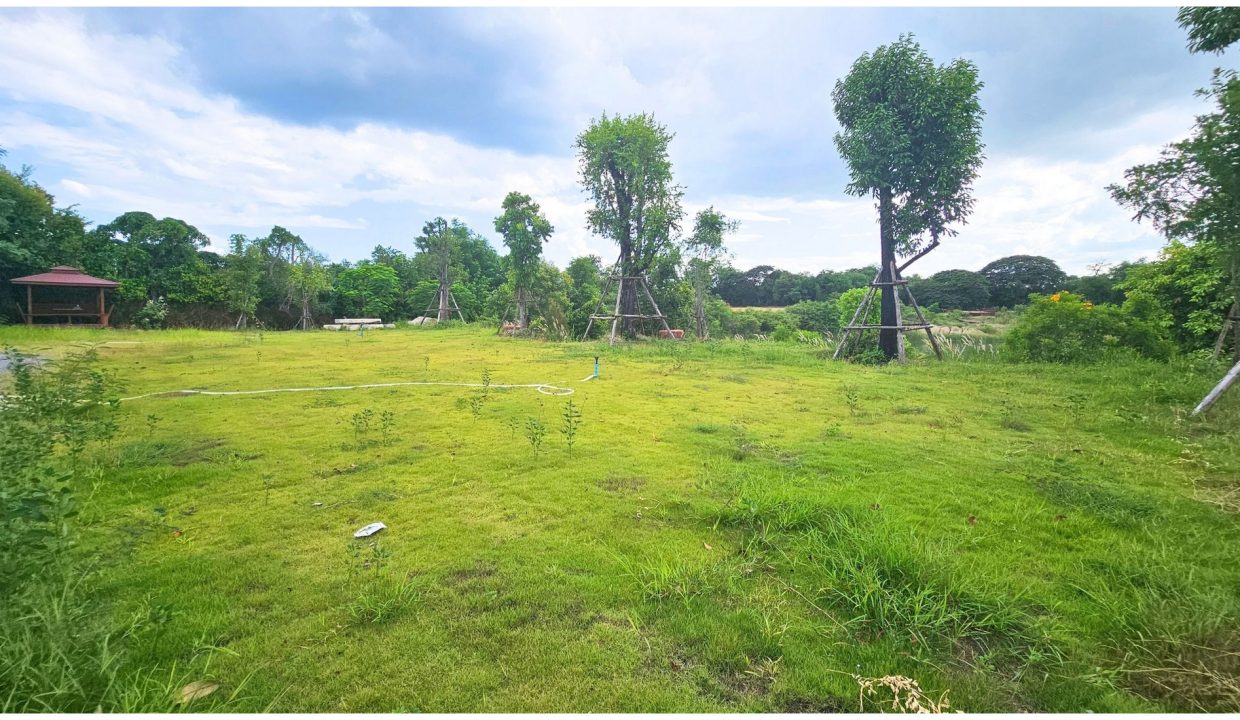 ขายที่ดิน-ริมน้ำ-เมืองนครปฐม-018