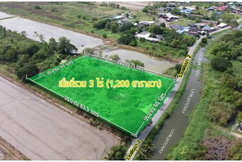 ที่ดินหนองจอก