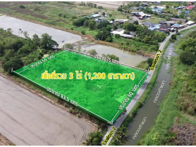 ที่ดินหนองจอก