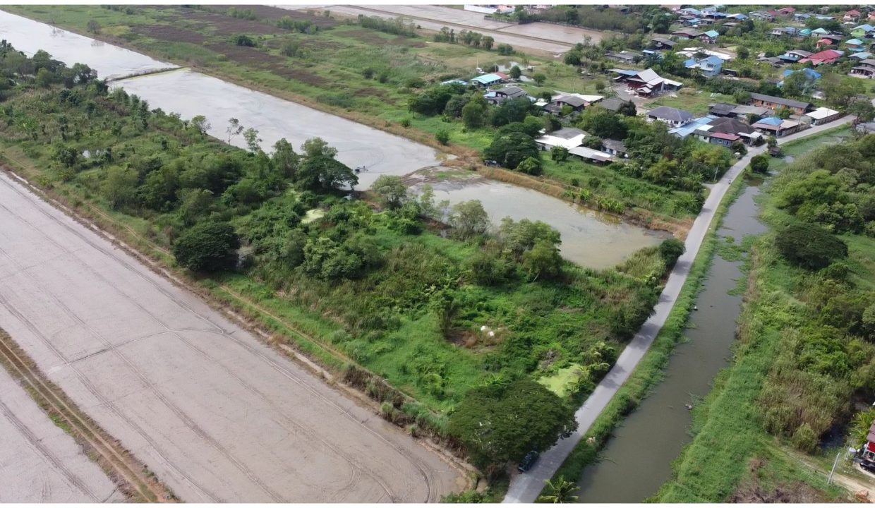 ขายที่ดิน-หนองจอก-ถนนสุวินทวงศ์-003