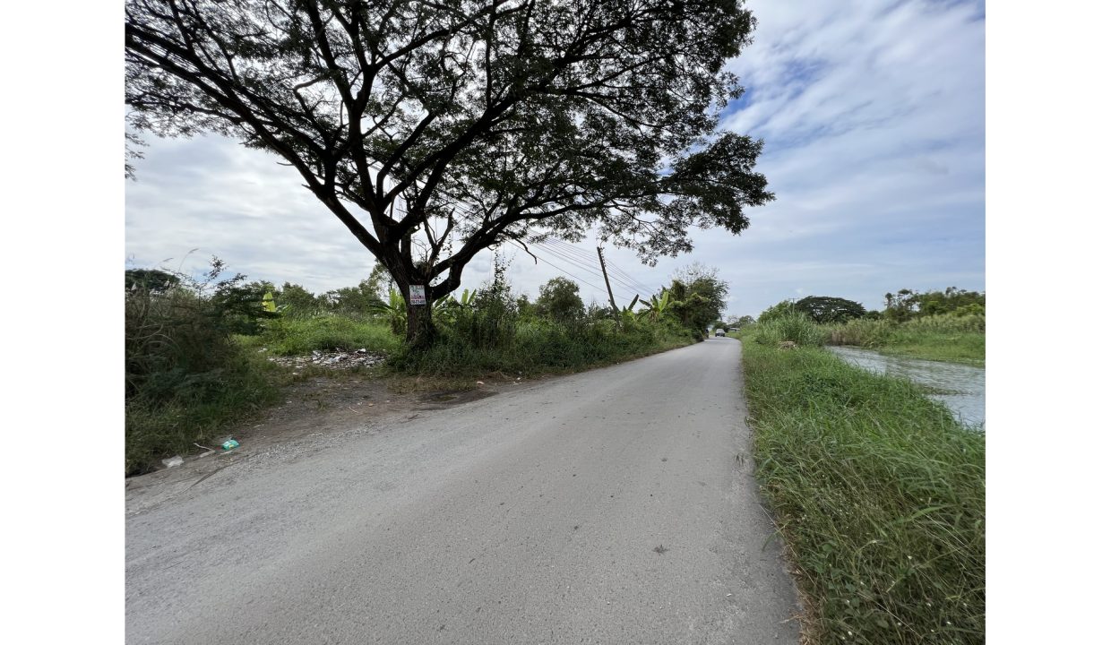 ขายที่ดิน-หนองจอก-ถนนสุวินทวงศ์-010