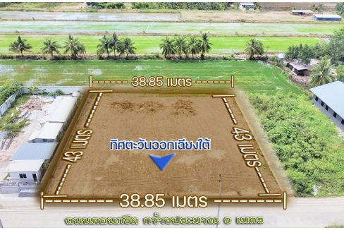 ขายที่ดินไทรน้อย ราษฎร์นิยม