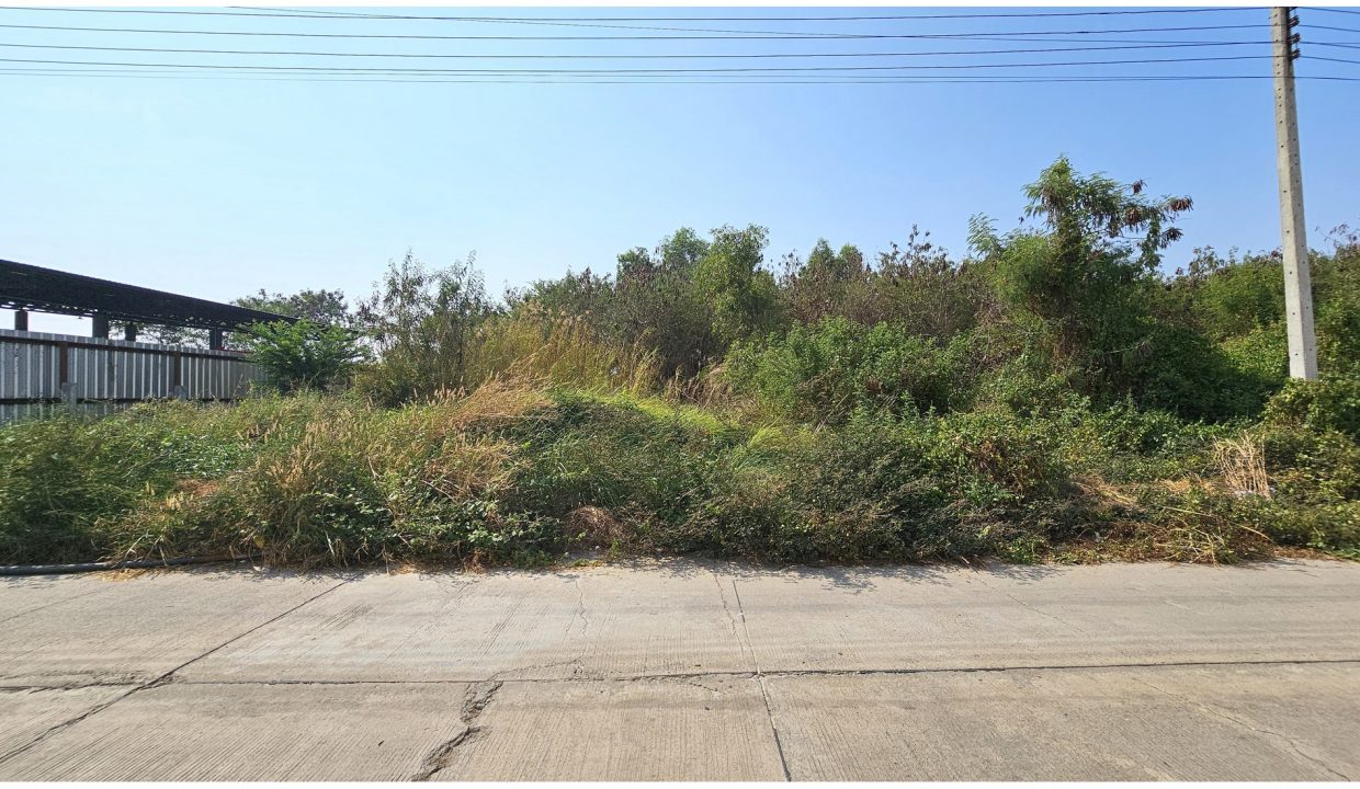 ขายที่ดินตำบลหน้าไม้-ลาดหลุมแก้ว-ปทุมธานี-009