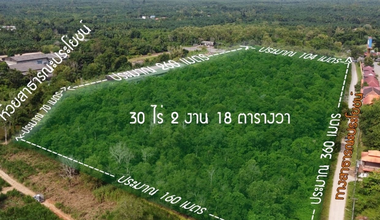 ขายที่ดินติดถนนเพชรเกษม-ชุมพร-00002