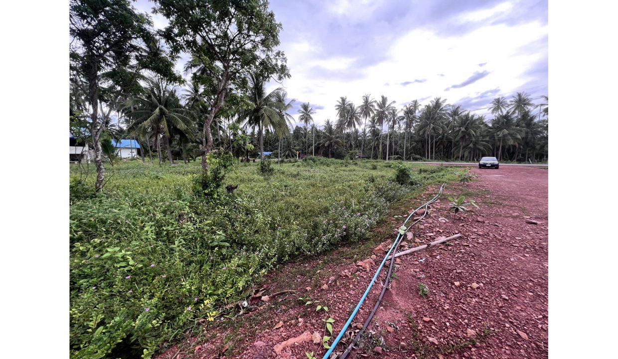 ขายที่ดินติดทะเล-ชุมพร-บางมะพร้าว-หลังสวน-024