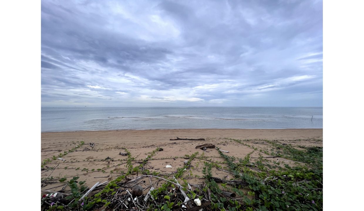ขายที่ดินติดทะเล-ชุมพร-บางมะพร้าว-หลังสวน-030