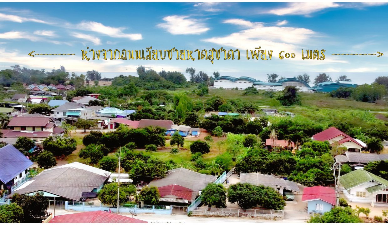 ขายที่ดินระยอง-เนินพระ-004
