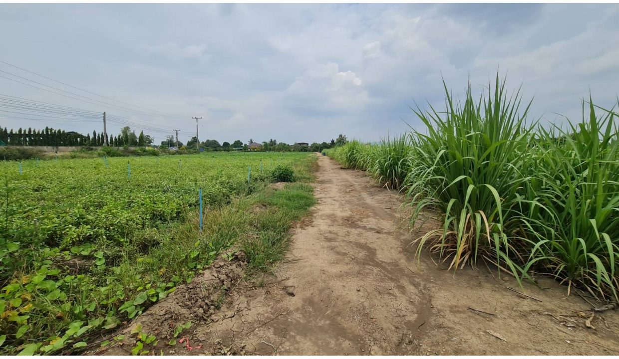 ขายที่ดินวังขนาย-ท่าม่วง-กาญจนบุรี-0001-1