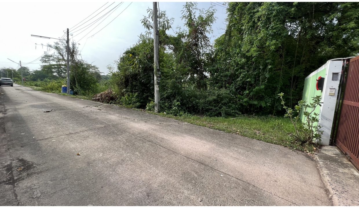 ขายที่ดินสระบุรี-หลังอนุบาลวิหารแดง-026