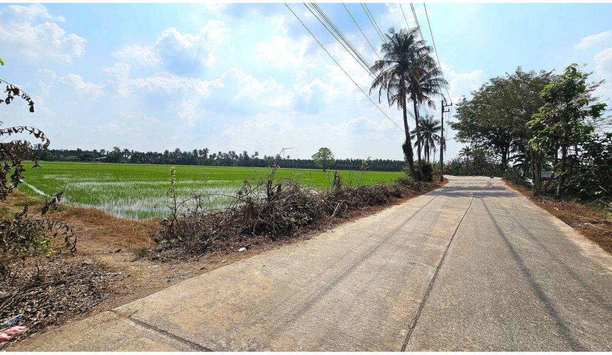 ขายที่ดินสามพราน-นครปฐม-บางพิกุล-041