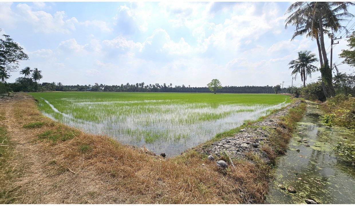 ขายที่ดินสามพราน-นครปฐม-บางพิกุล-045
