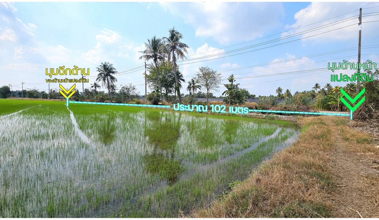 ขายที่ดินสามพราน-นครปฐม-บางพิกุล-049