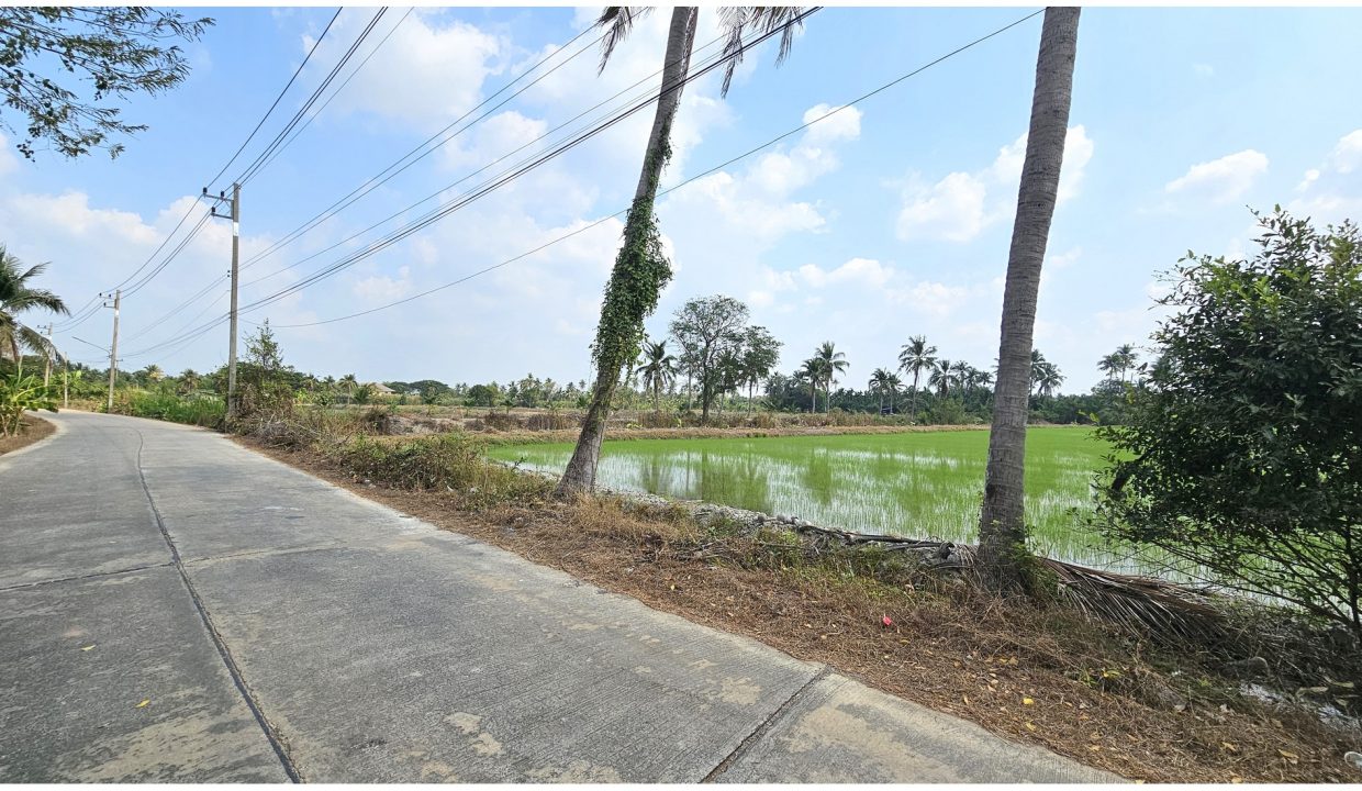 ขายที่ดินสามพราน-นครปฐม-บางพิกุล-056
