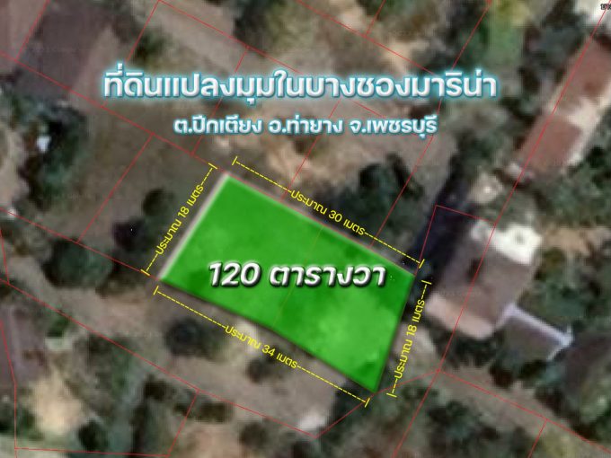 ขายที่ดินท่ายาง เพชรบุรี