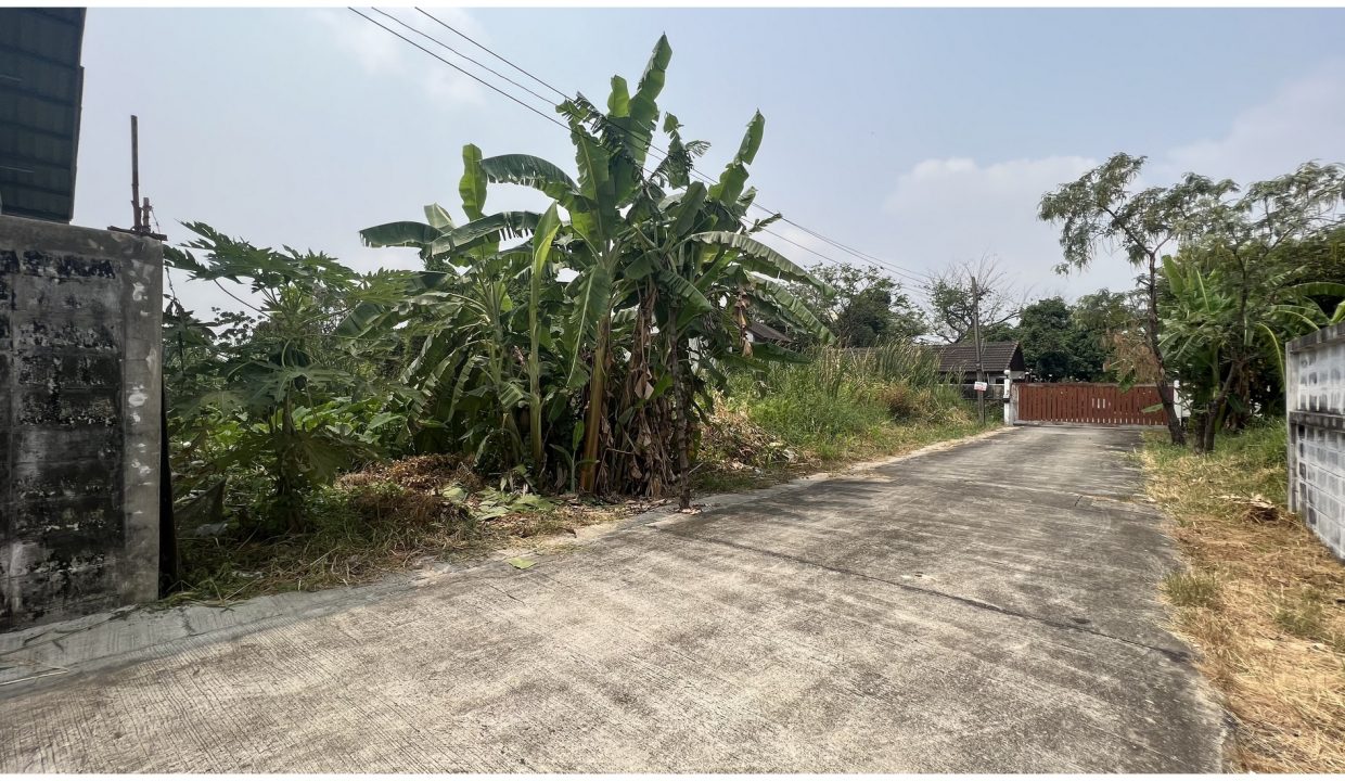 ขายที่ดินแบริ่ง30-สุขุมวิท-107-019