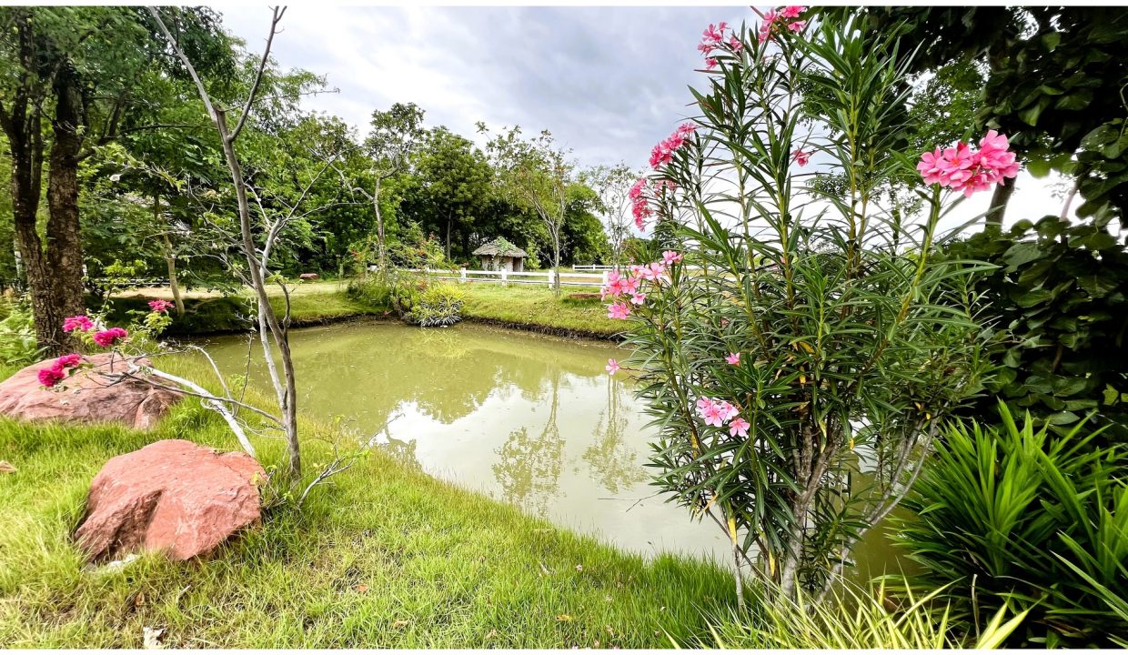 ขายที่นครปฐม-ที่ดินริมน้ำ-023