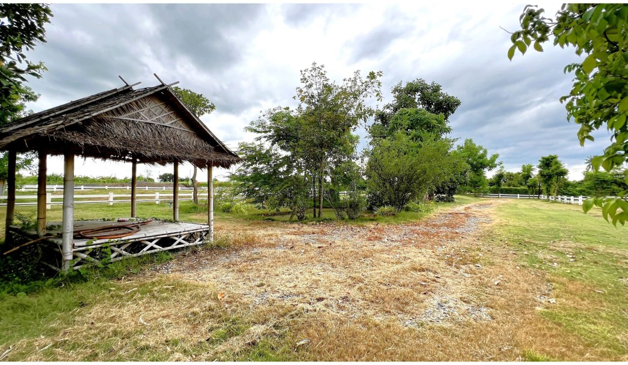 ขายที่นครปฐม-ที่ดินริมน้ำ-030