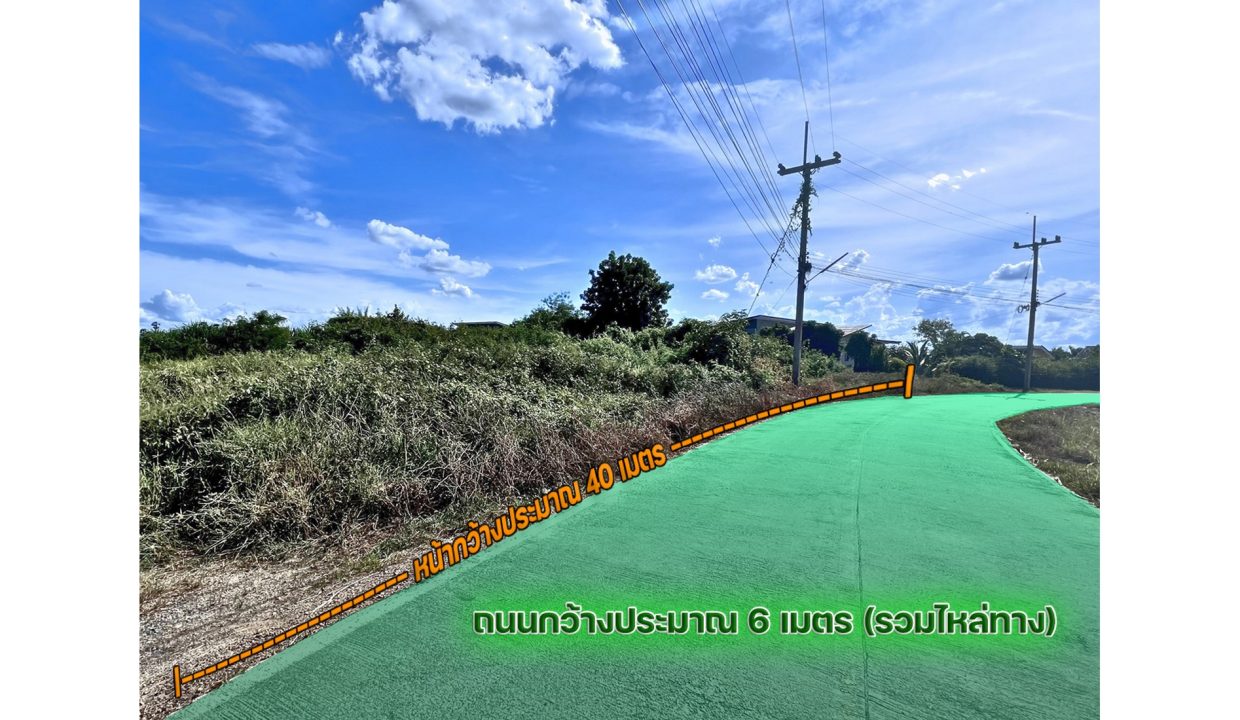 ที่ดิน-นครปฐม-หนองงูเหลือม-002