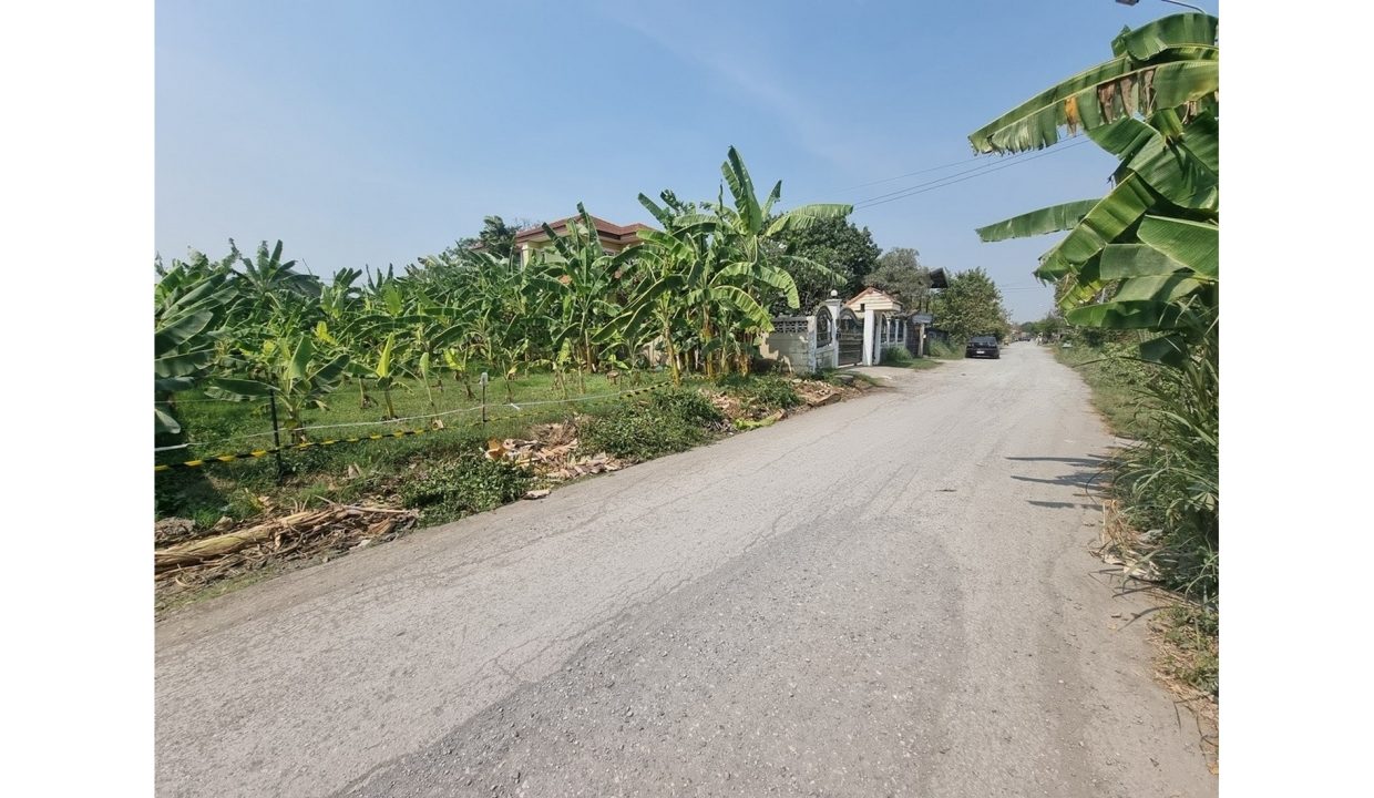 ที่ดิน-มิตรไมตรี-หนองจอก-015