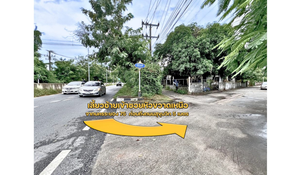 ที่ดิน-ระยอง-เชิงเนิน-010