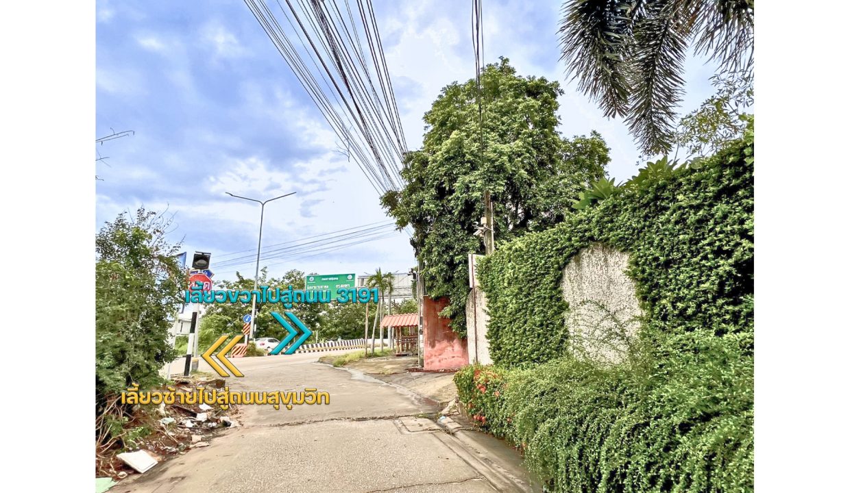 ที่ดิน-ระยอง-เชิงเนิน-024
