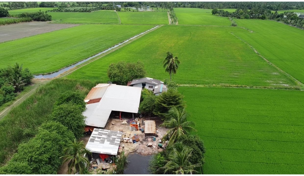 ที่ดิน-สามพราน-006