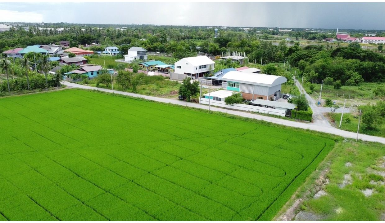 ที่ดิน-สามพราน-011