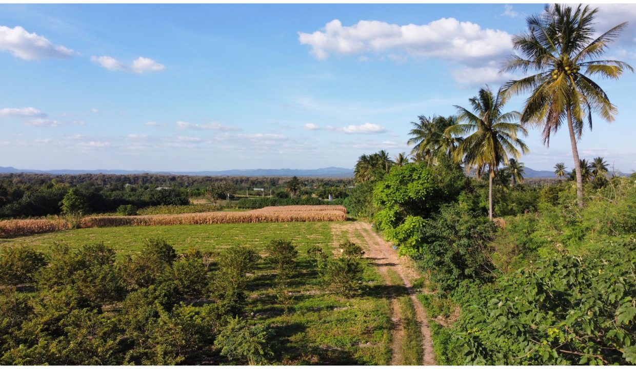 ที่ดินปากช่อง-โคราช-008