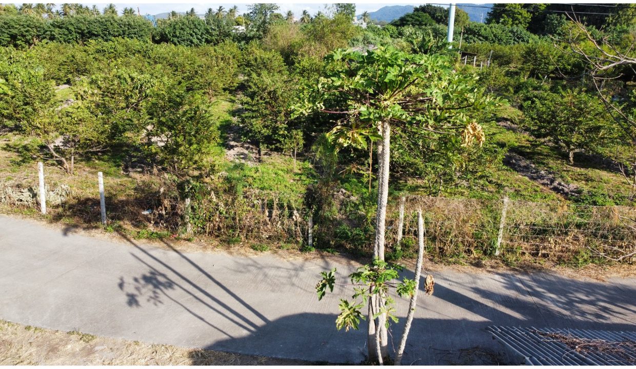 ที่ดินปากช่อง-โคราช-013-1
