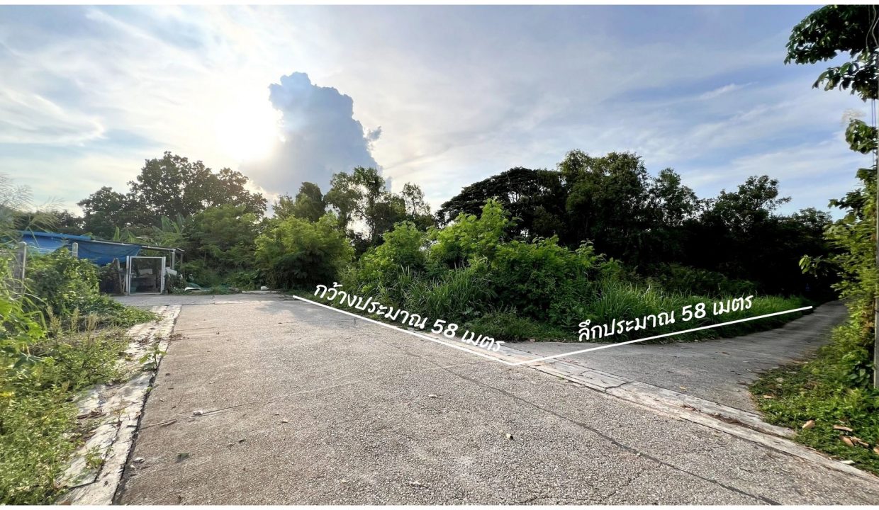 ที่ดินระยอง-เนินพระ-ซอยแวววงศ์-ใกล้ถนนราชชุมพล009