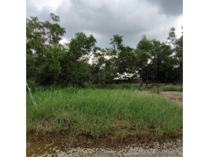 ที่ดินเมืองเอก