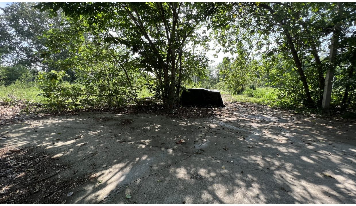 ที่ดินแมกไม้-ชายน้ำ-แก่งคอย-สระบุรี-009