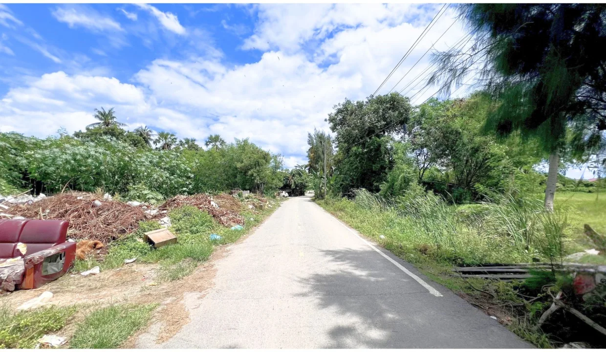 ขายที่ดิน บางบัวทอง 003