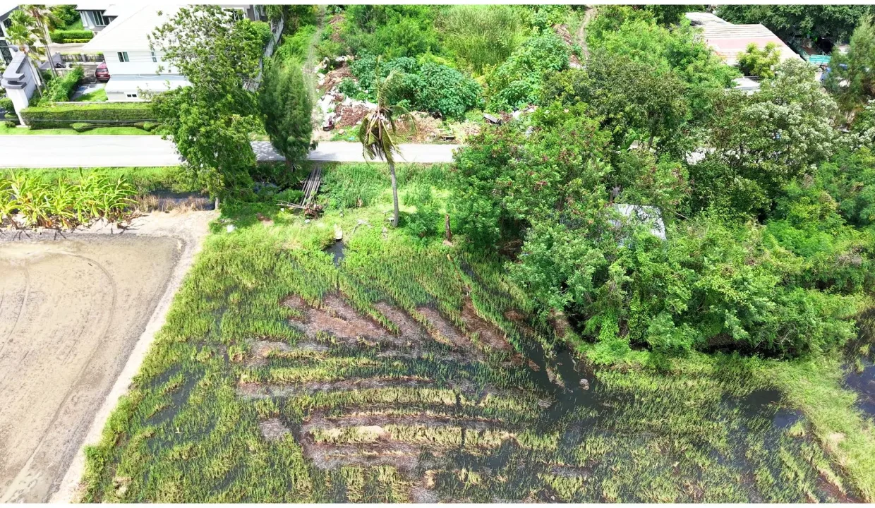 ขายที่ดิน บางบัวทอง 019