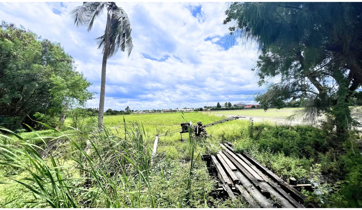 ขายที่ดิน บางบัวทอง 025