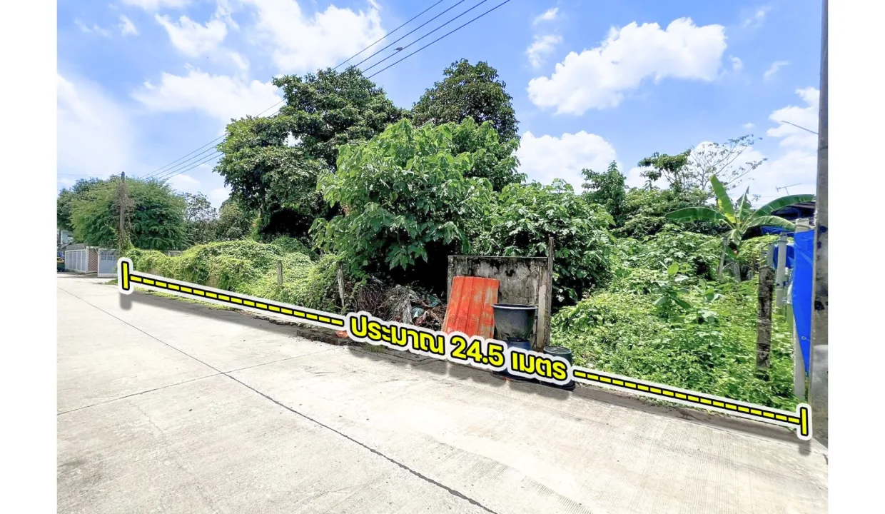 ขายที่ดินพหลโยธิน 56 001