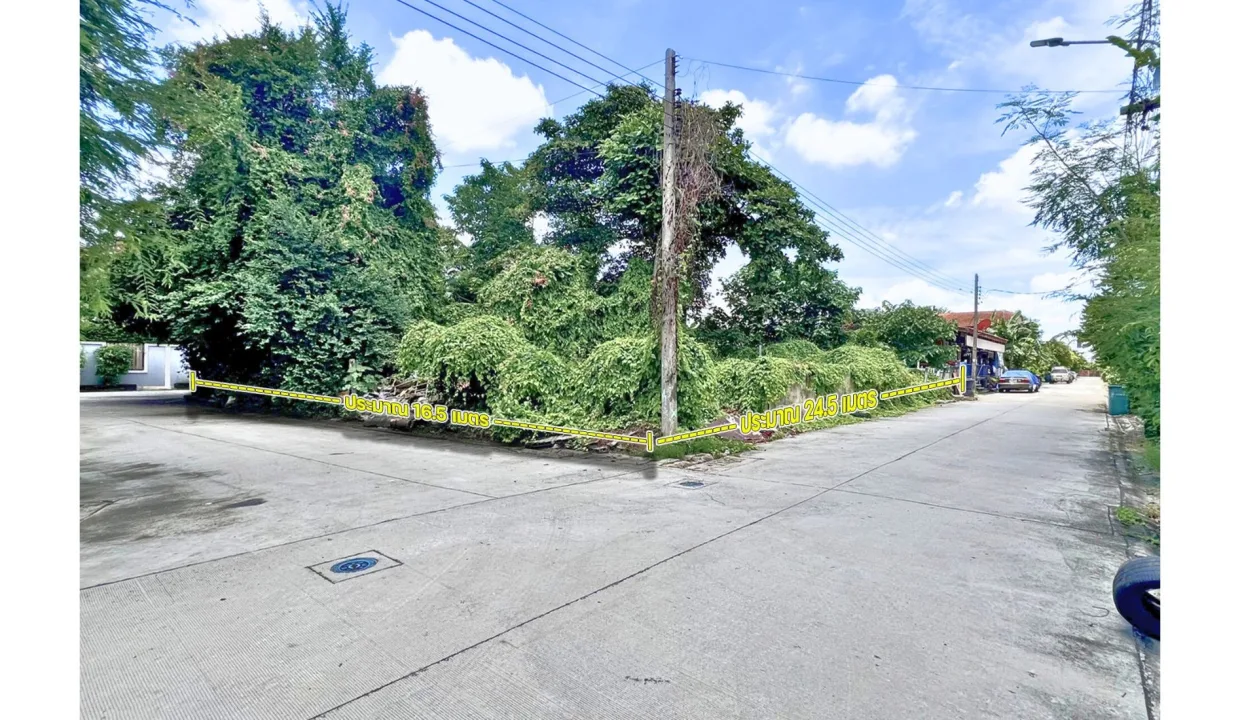 ขายที่ดินพหลโยธิน 56 002