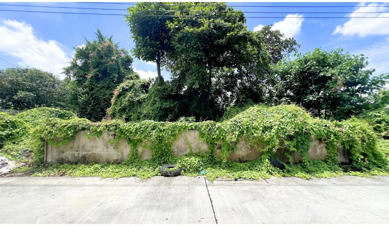 ขายที่ดินพหลโยธิน 56 018