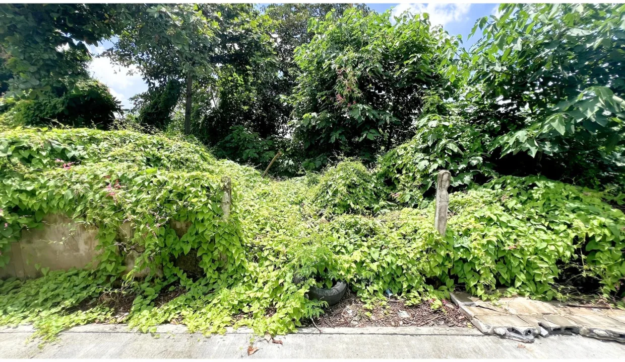 ขายที่ดินพหลโยธิน 56 021