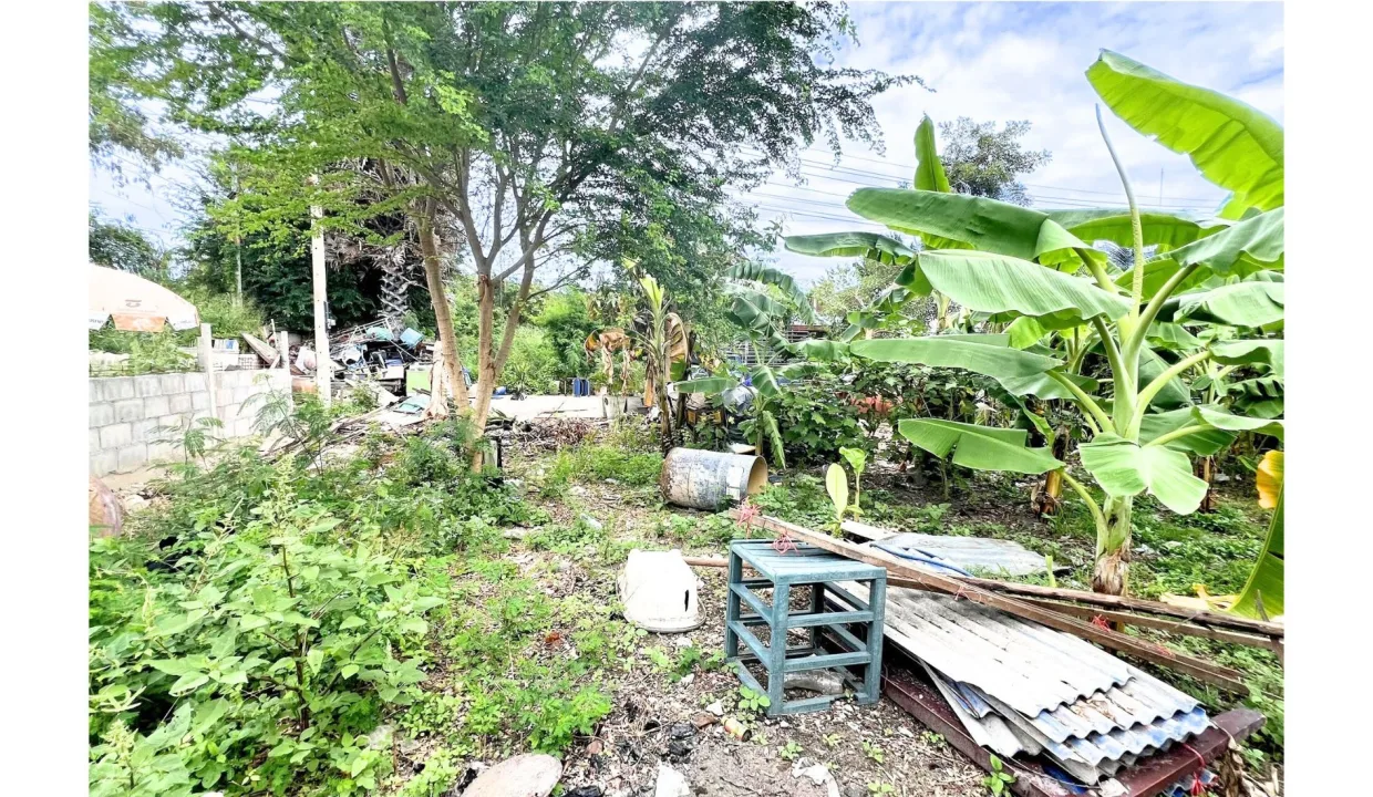 ขายที่ดินเปล่าหัวหิน หินเหล็กไฟ 019