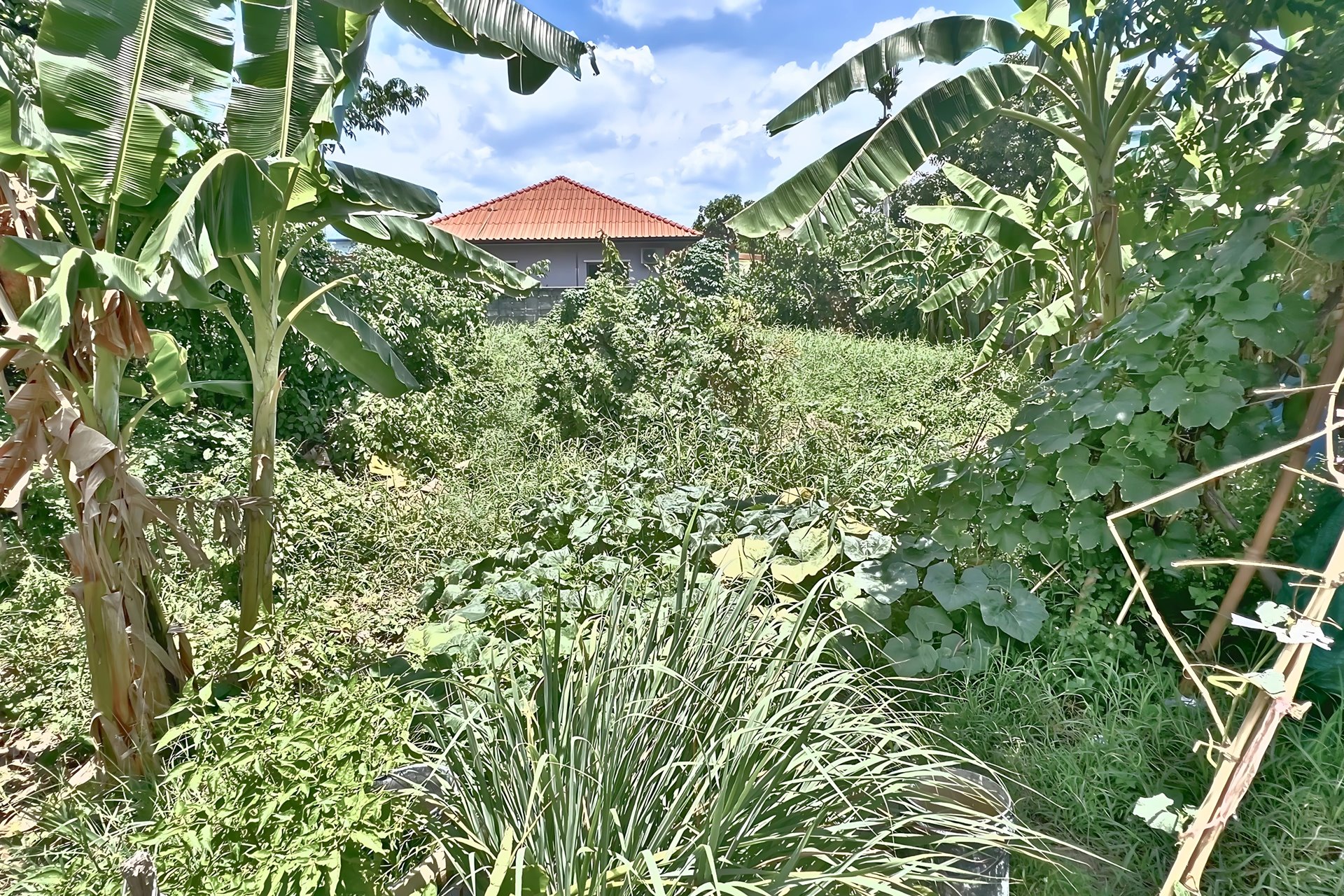 ขายถูก ที่ดิน นนทบุรี ซอยติวานนท์-ปากเกร็ด 34