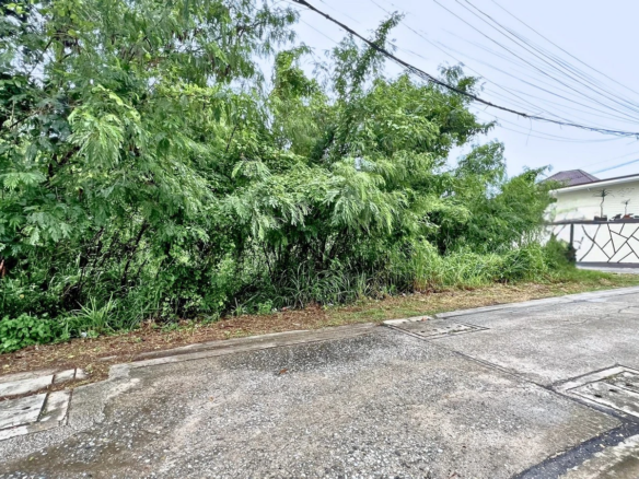 ที่ดินระยอง เชิงเนิน เมืองระยอง แปลงมุม ถมแล้ว 104.5 ตร.ว.ซอยหัวขวาดเหนือ