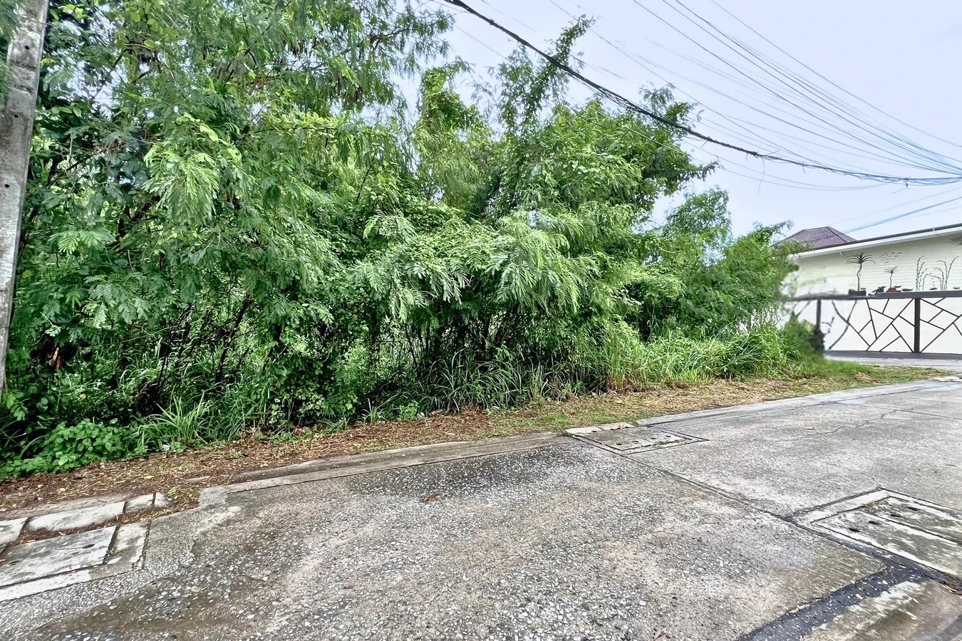 ที่ดินระยอง เชิงเนิน เมืองระยอง แปลงมุม ถมแล้ว 104.5 ตร.ว.ซอยหัวขวาดเหนือ