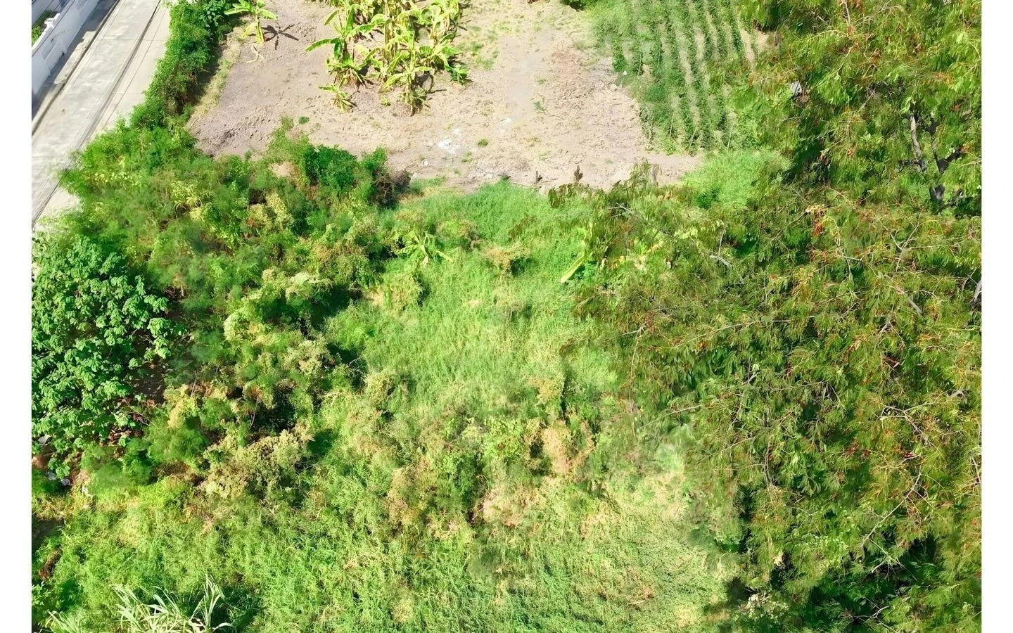 ที่ดินปากเกร็ด