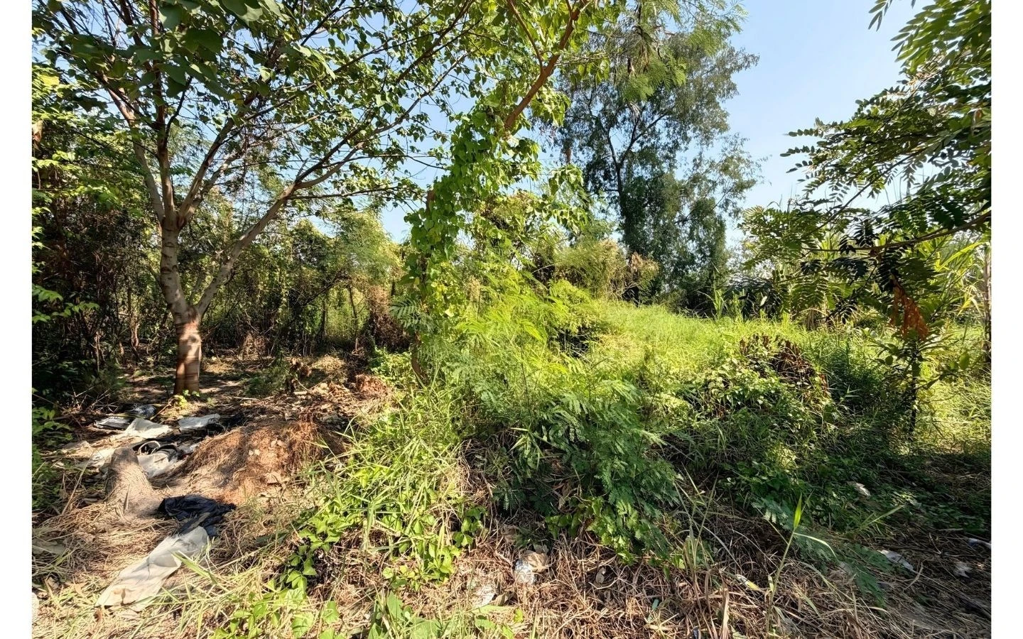 ที่ดินปากเกร็ด