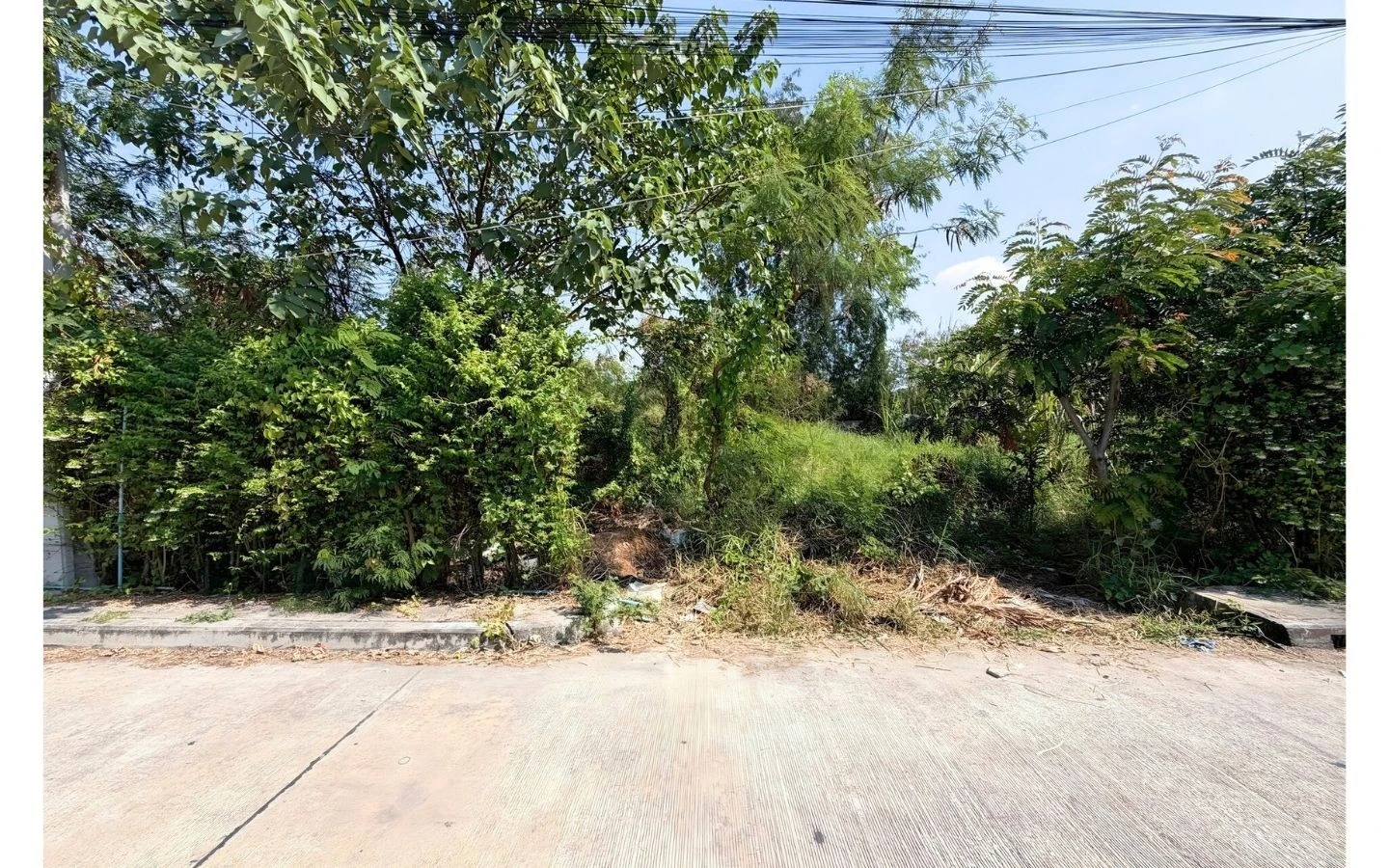 ที่ดินปากเกร็ด