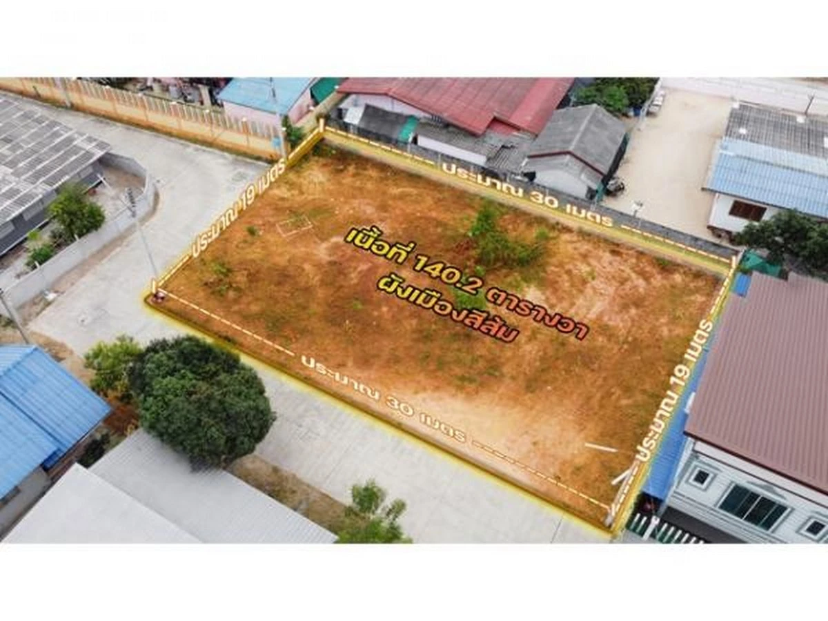 ขายที่ดินระยอง เนินพระ ซอยป้าจำเรียง